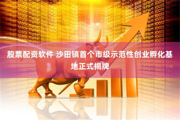 股票配资软件 沙田镇首个市级示范性创业孵化基地正式揭牌