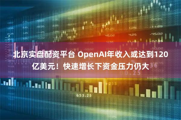 北京实盘配资平台 OpenAI年收入或达到120亿美元！快速增长下资金压力仍大
