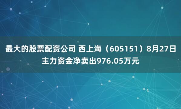 最大的股票配资公司 西上海（605151）8月27日主力资金净卖出976.05万元